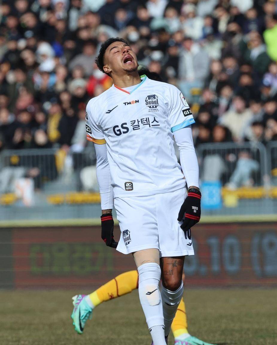 胜利之旗！上海申花击败首尔FC的简单介绍